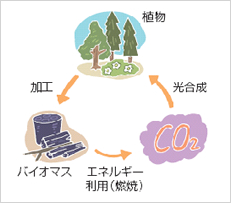 二酸化炭素排出抑制