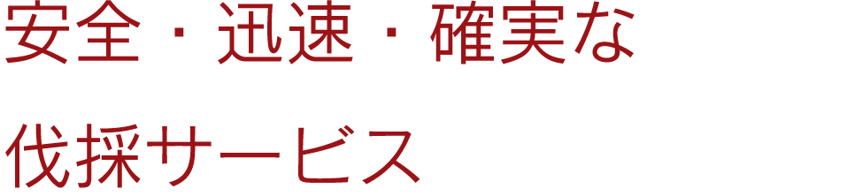 安全・迅速・確実な伐採サービス