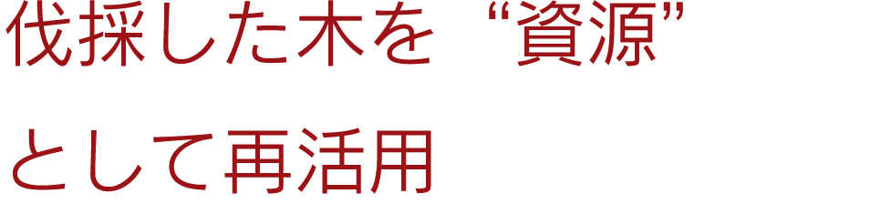 伐採した木を“資源”として再活用